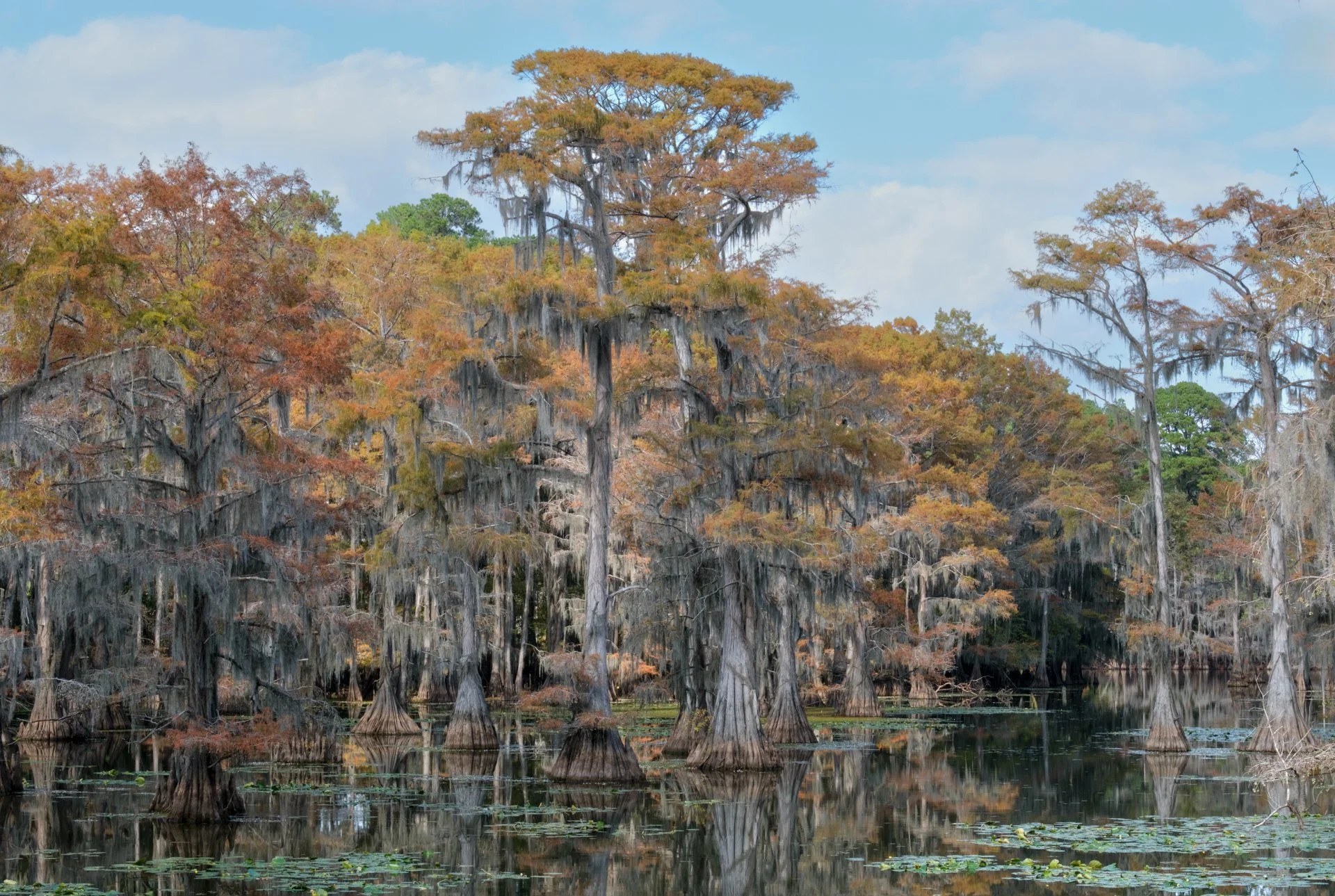 Caddo_Lake_012.jpeg