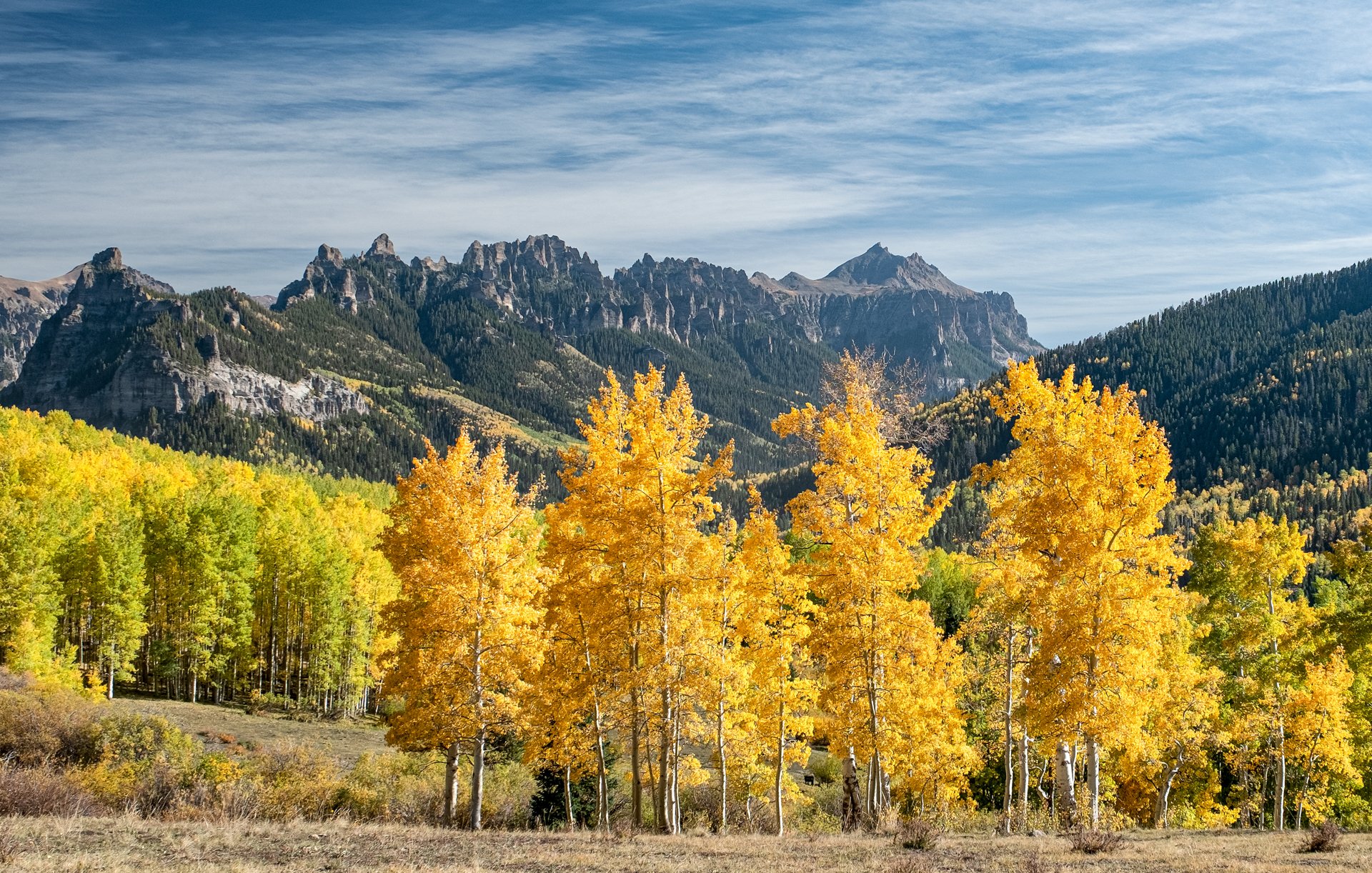 Autumn_in_Colorado_004.jpeg