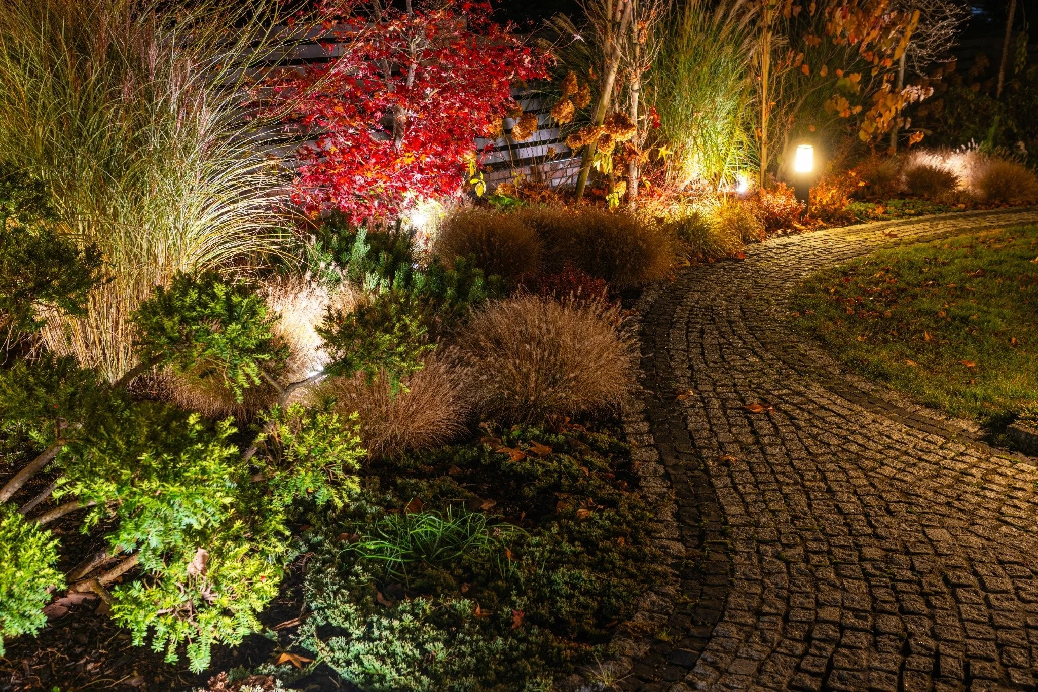 optimized_beautifully-illuminated-garden-path-with-autumn-foliage-stone-walkway-night.jpg