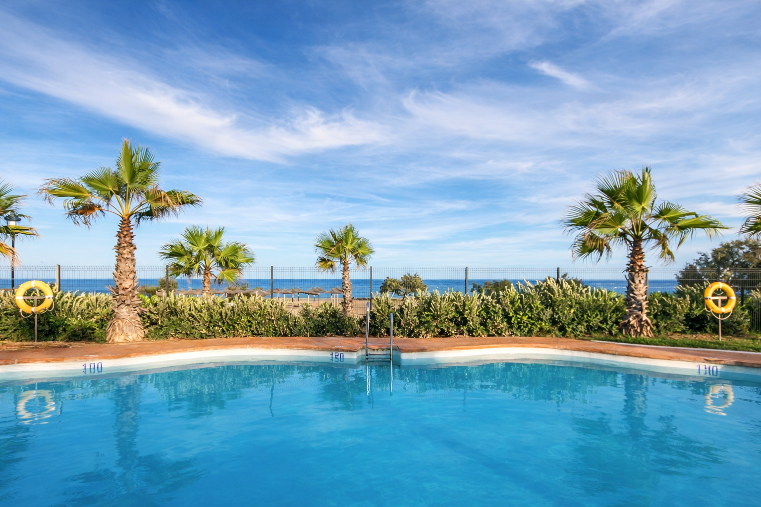 ChatGPT Image 8 ene 2026, 19_59_23.png