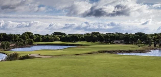 PROYECTOS · COLABORACIONES PROFESIONALES