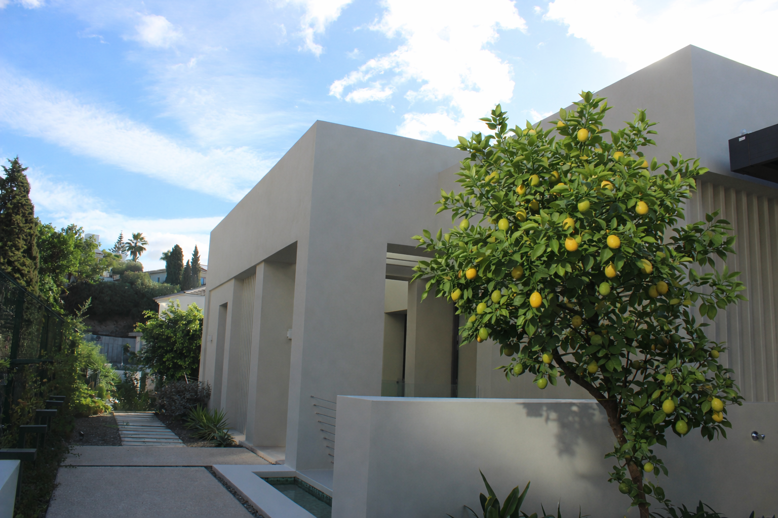 ChatGPT Image 6 ene 2026, 00_31_51.png