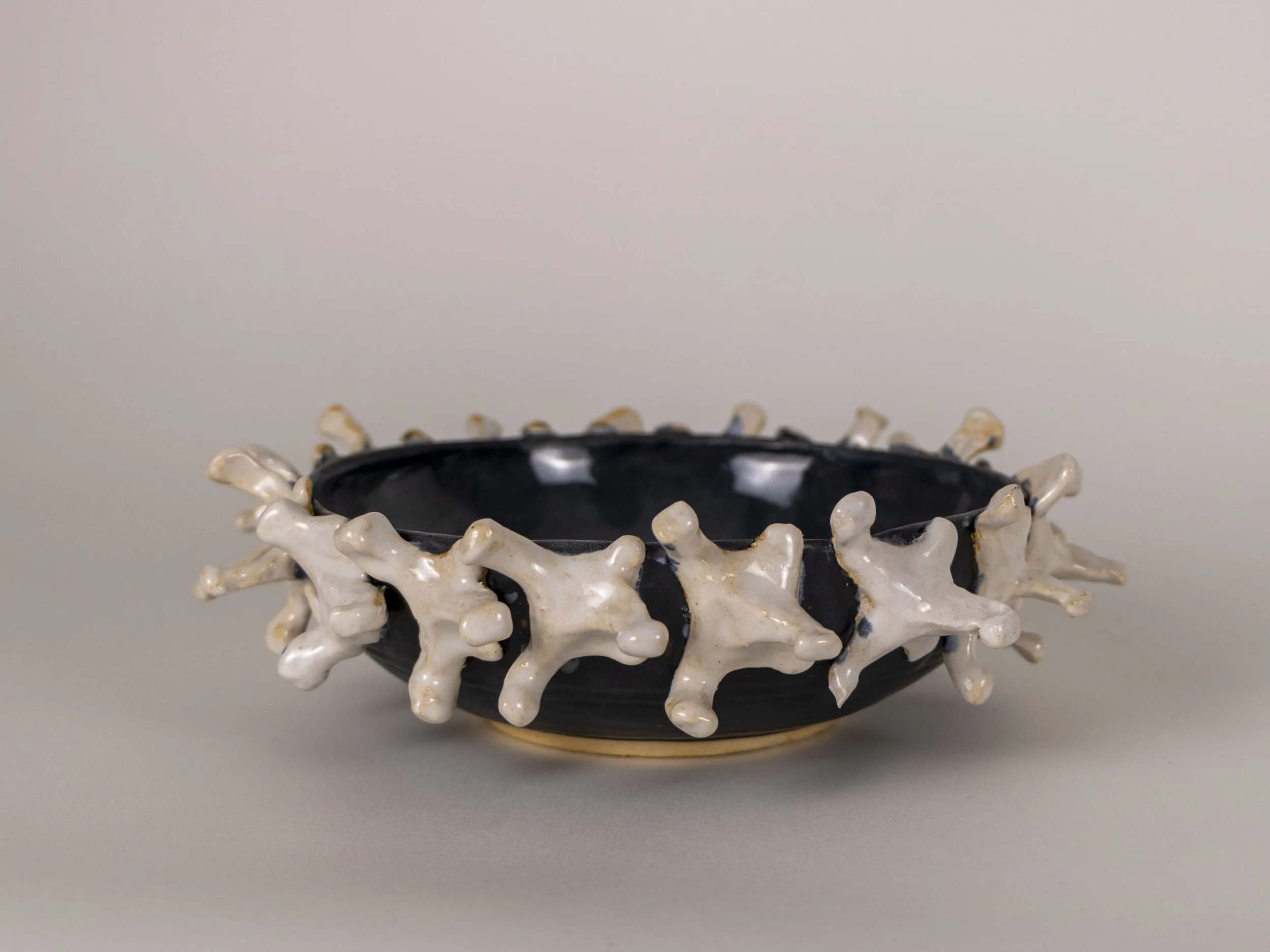 Hervert_vertebrae bowl.jpg