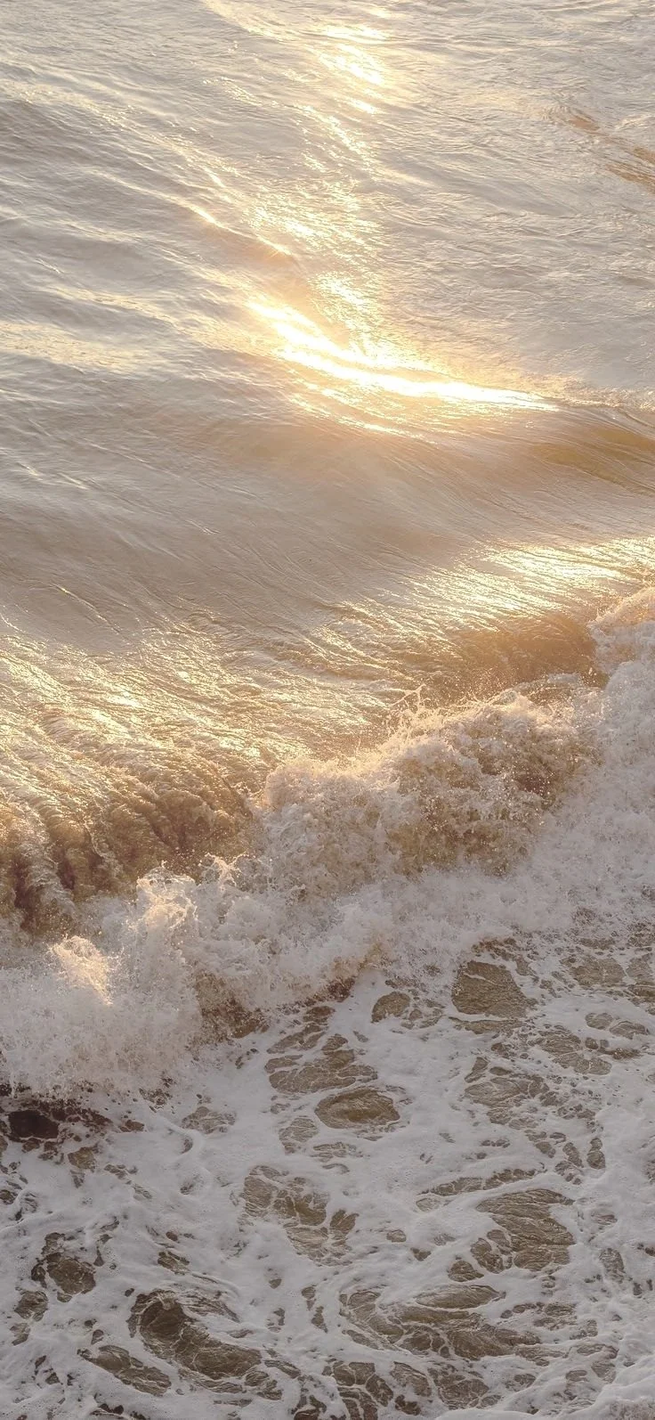 Golden sunlight reflecting off ocean waves near the shoreline.