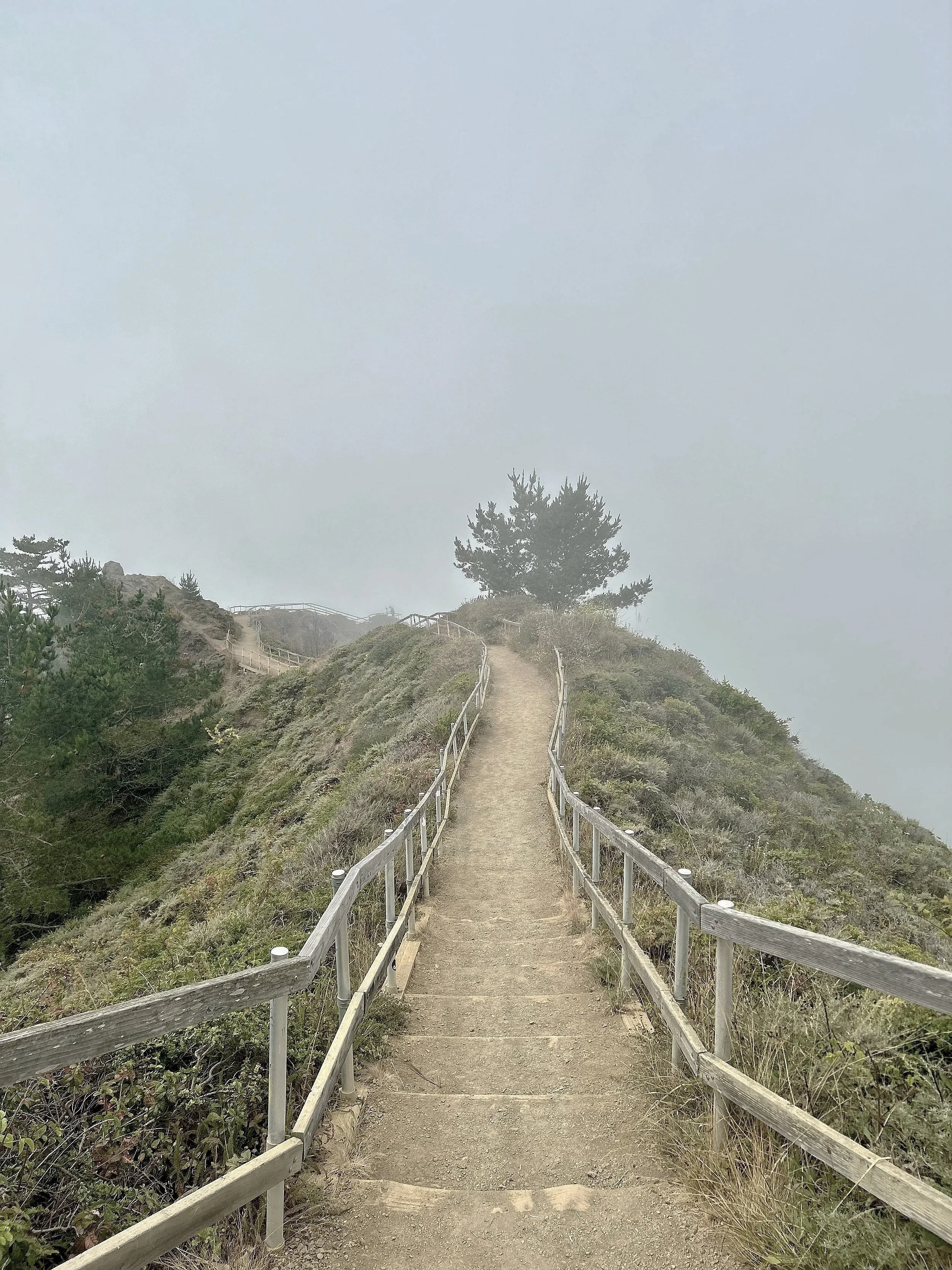 A narrow dirt trail with wooden railings on both sides, winding up a hill with sparse bushes and a few trees, disappearing into foggy, overcast sky.