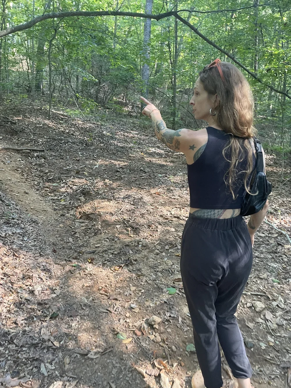 Plant Walk with The Elderberry