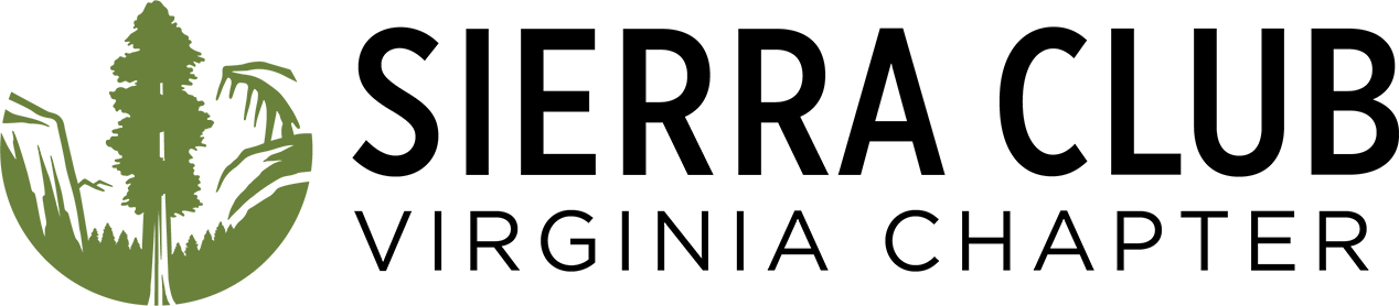 Protecting Our Oldest Forests