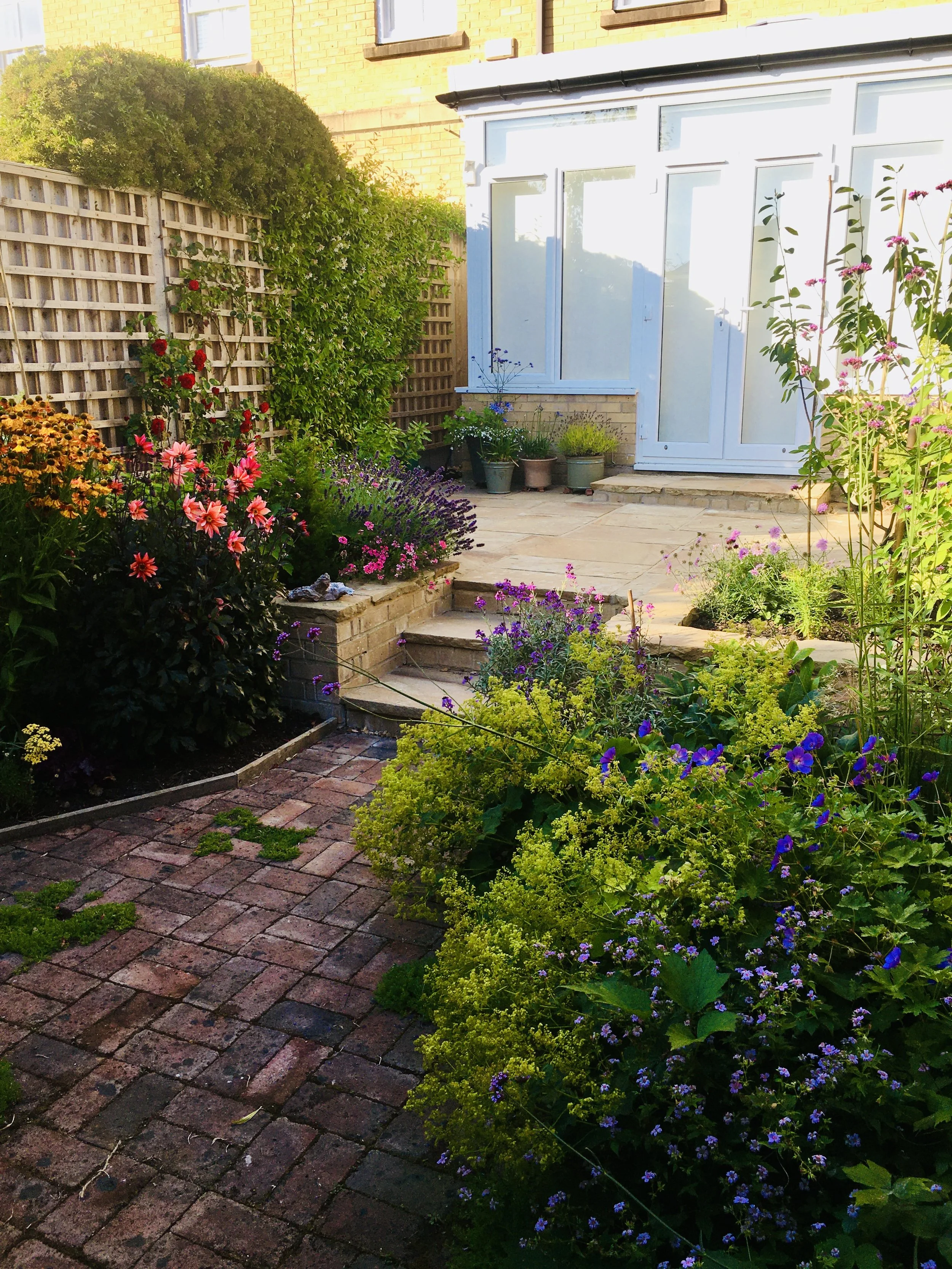 A lush garden with colorful flowers and plants along a pathway, leading to a house with a glass door and potted plants outside.