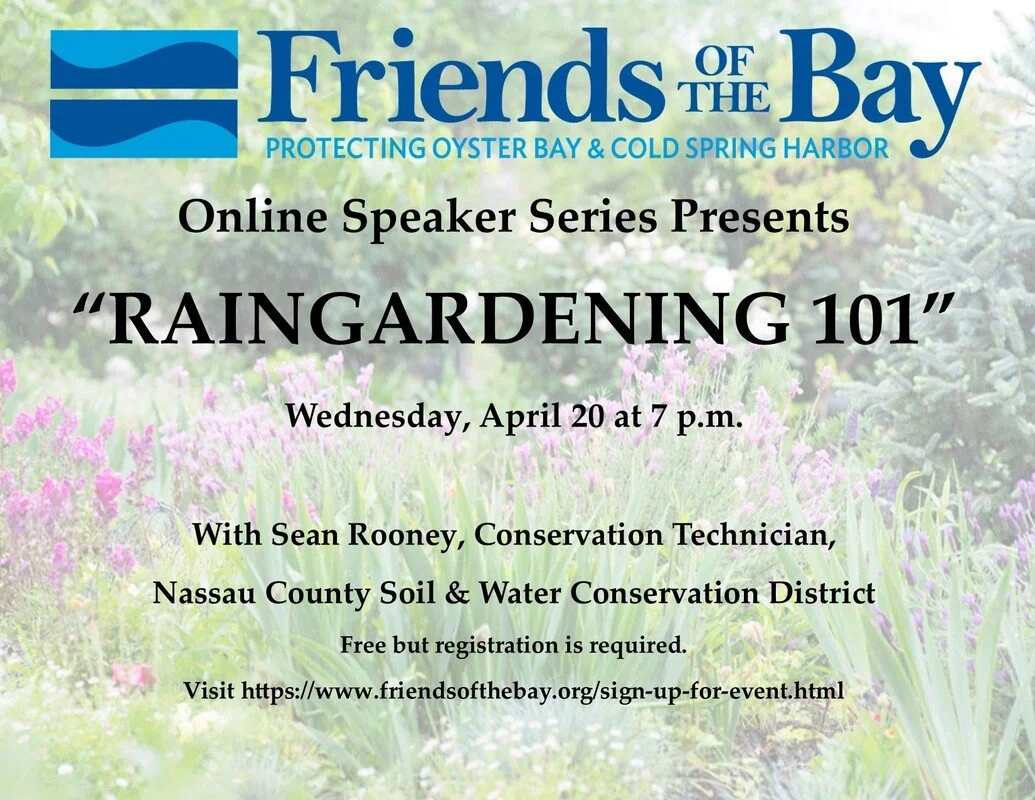 28 raingardening2022_1.jpg