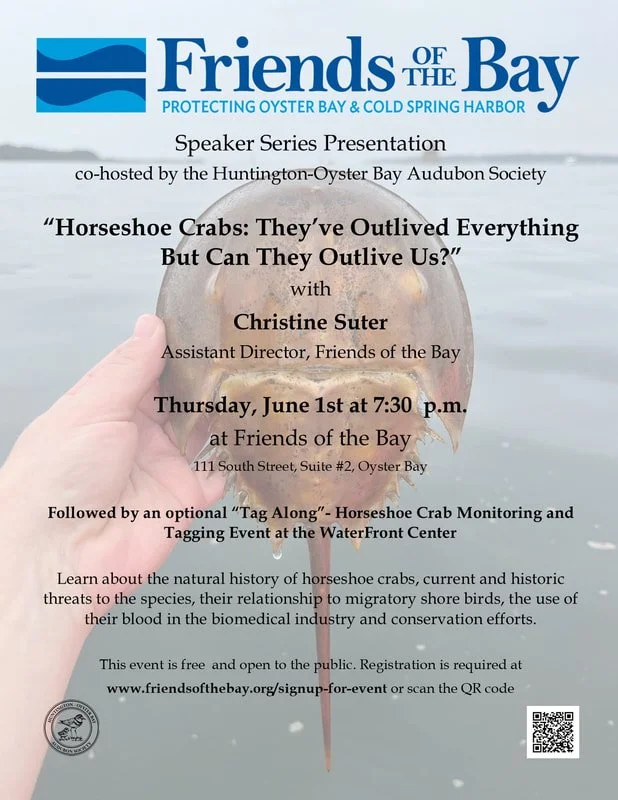 22 horseshoe-crab-talk-final_1.jpg