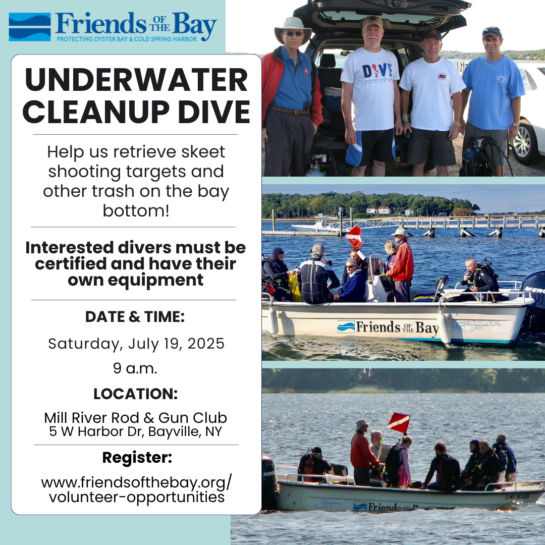 july beach cleanup (1).png