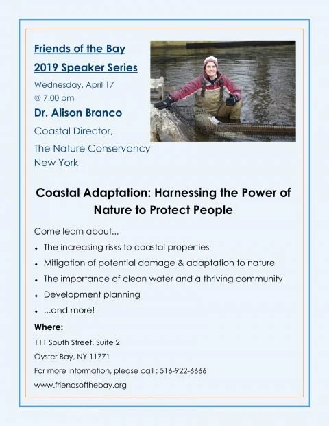 59 branco-fly-1-480x621_1.jpg