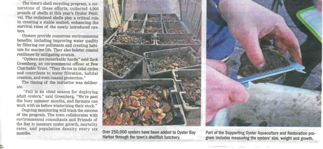 Oyster Bay Herald - 11.29.2024