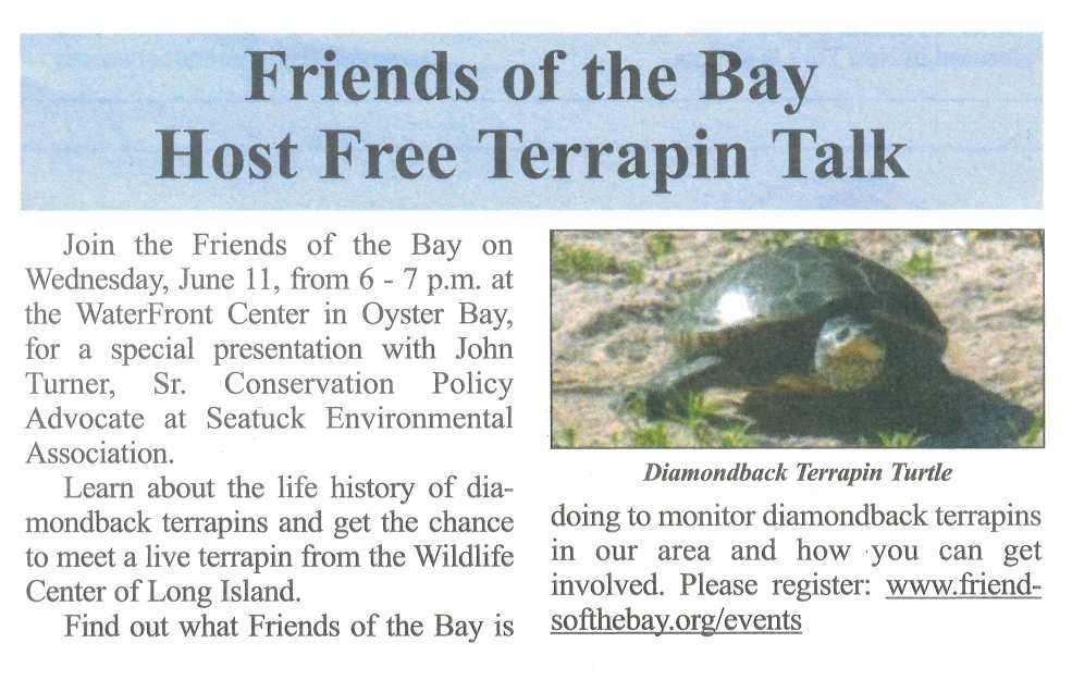 The Leader - 05.20.2025