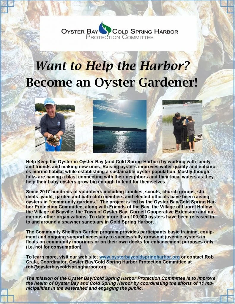 41 shellfish-garden-2020-791x1024_1.jpg