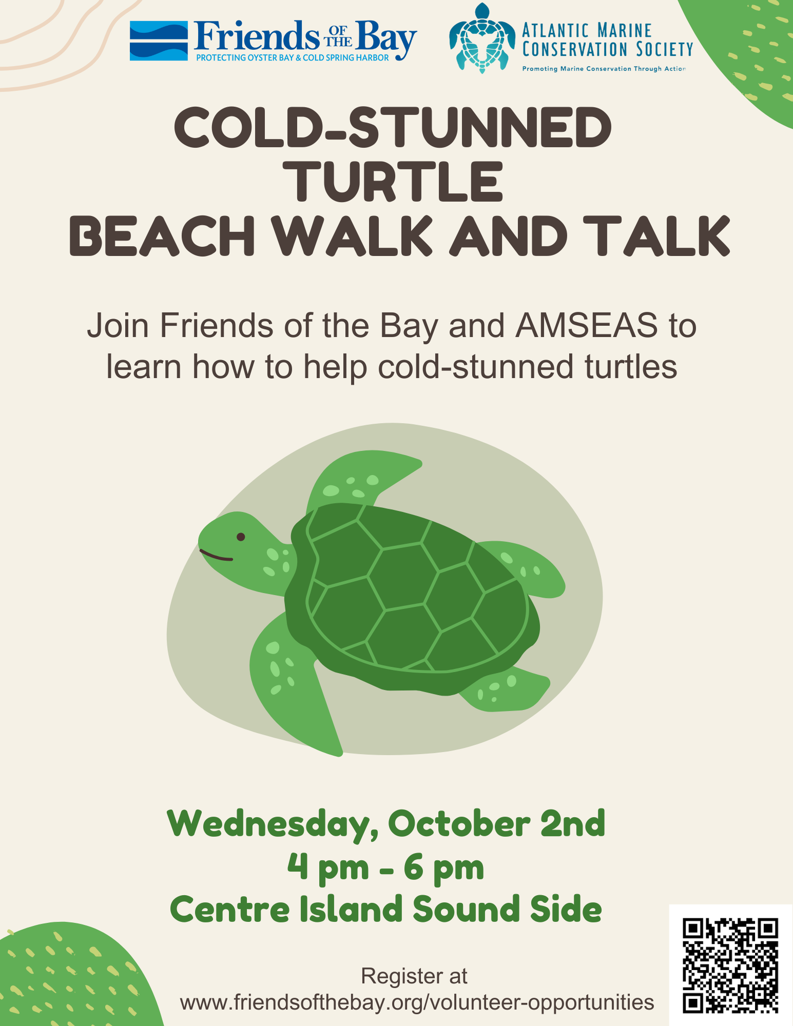 18 cold-stunned Turtle Beach Walk and Talk FLYER.png