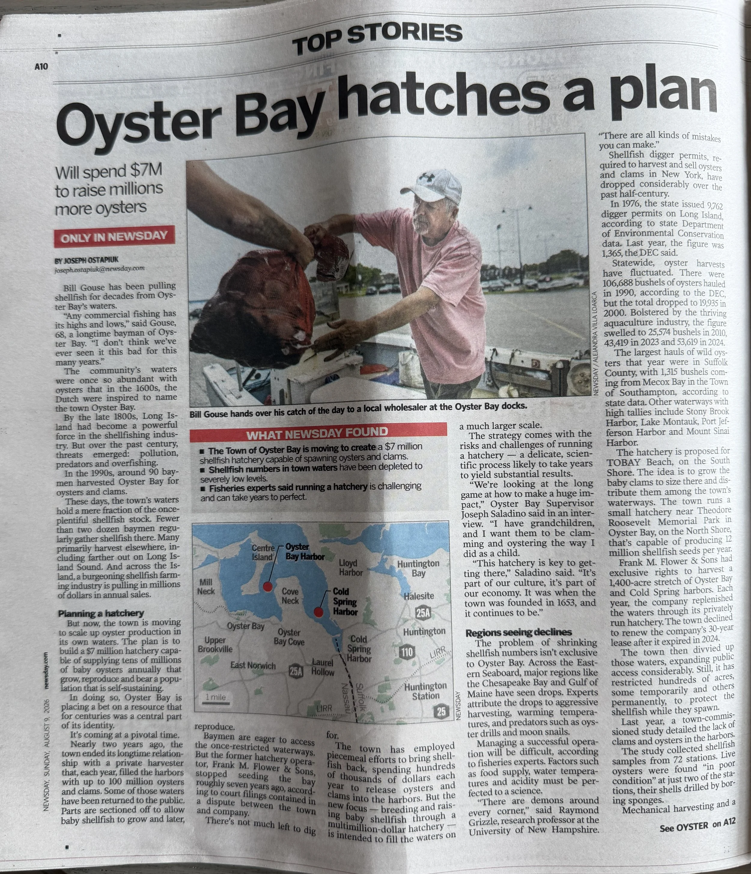 Newsday - 08.09.2026