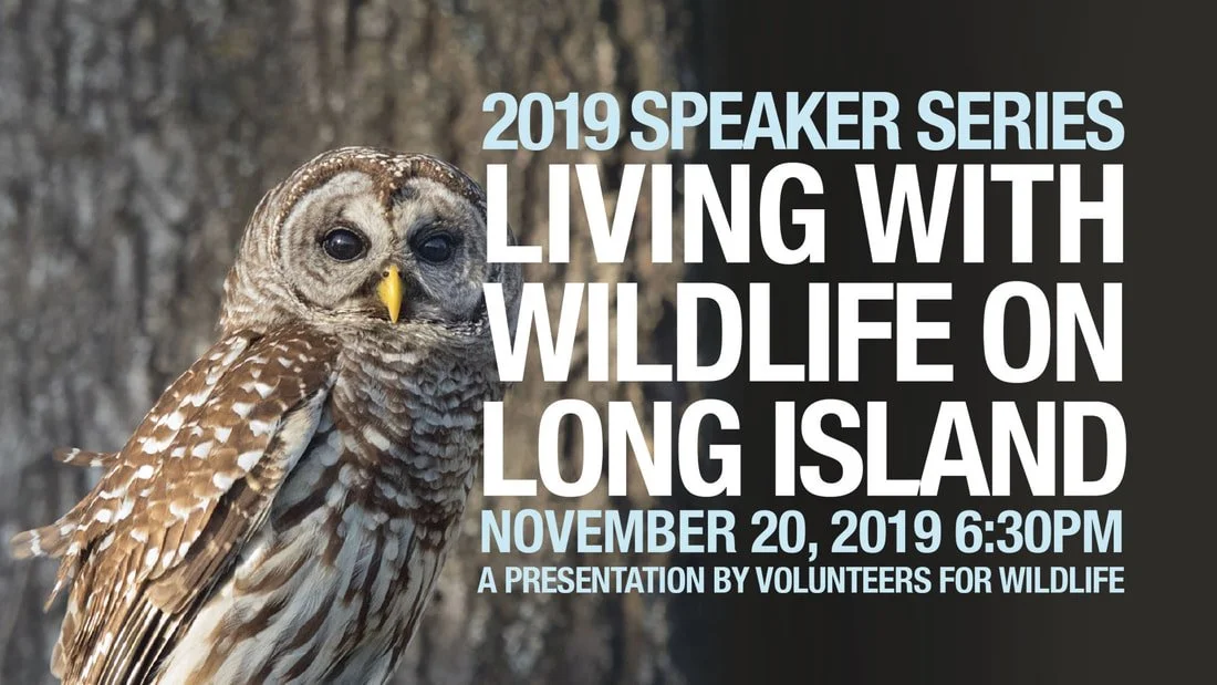 51 fob-speakerseries-nov_1.jpg