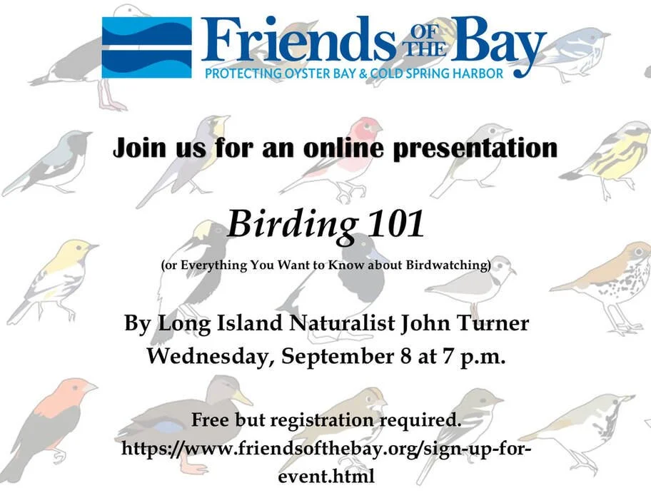 35 speaker-series-birding101-sept2021_2.jpg
