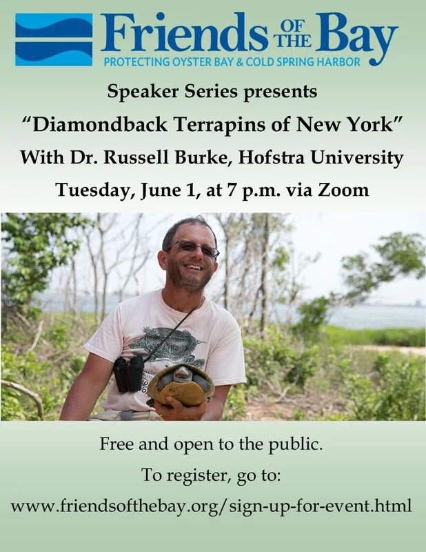 35 dtflyer-2021-rev-smaller_1.jpg