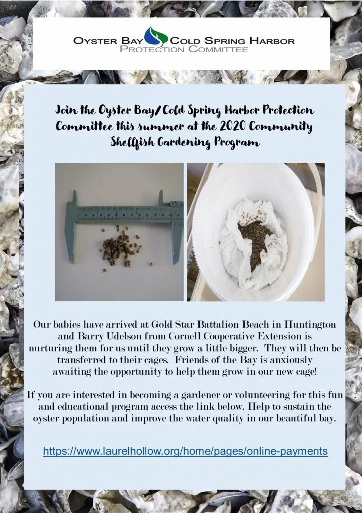 40 shellfish-garden-2020-flyer-most-recent-edit-6-2-20-1-724x1024_1.jpg