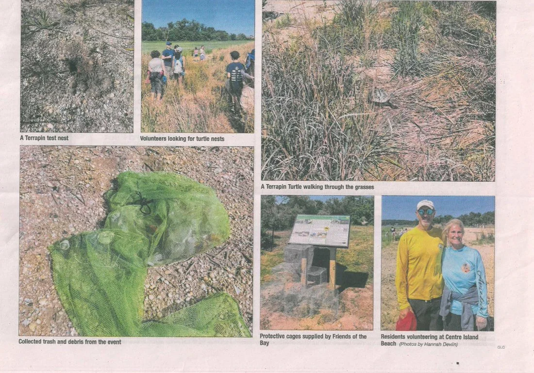 Anton Media - 06.19.2024