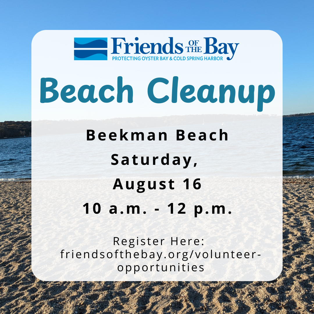 august beach cleanup post (1).png
