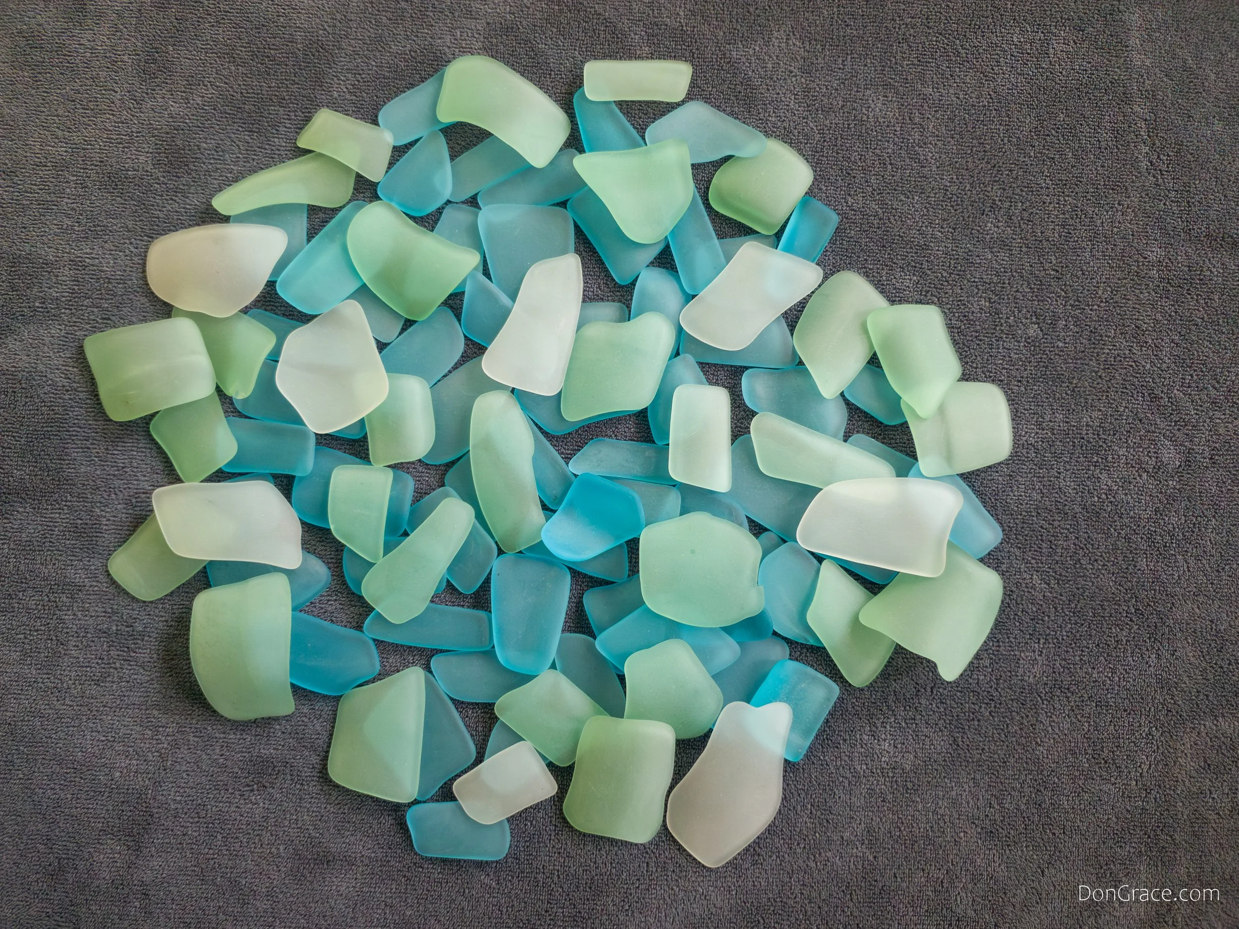 Tidal Blue_134912-2-1.jpg