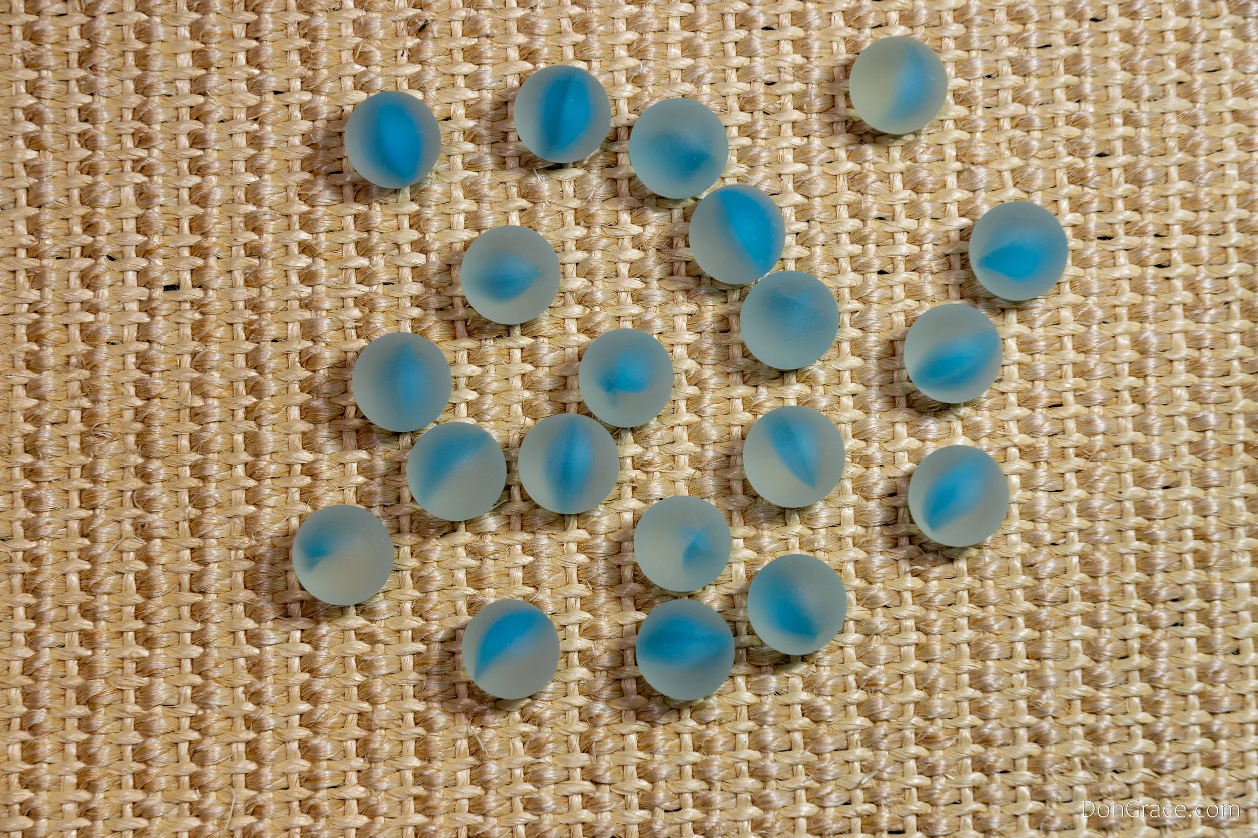 Light Blue-cat_DSC2933-2-1.jpg