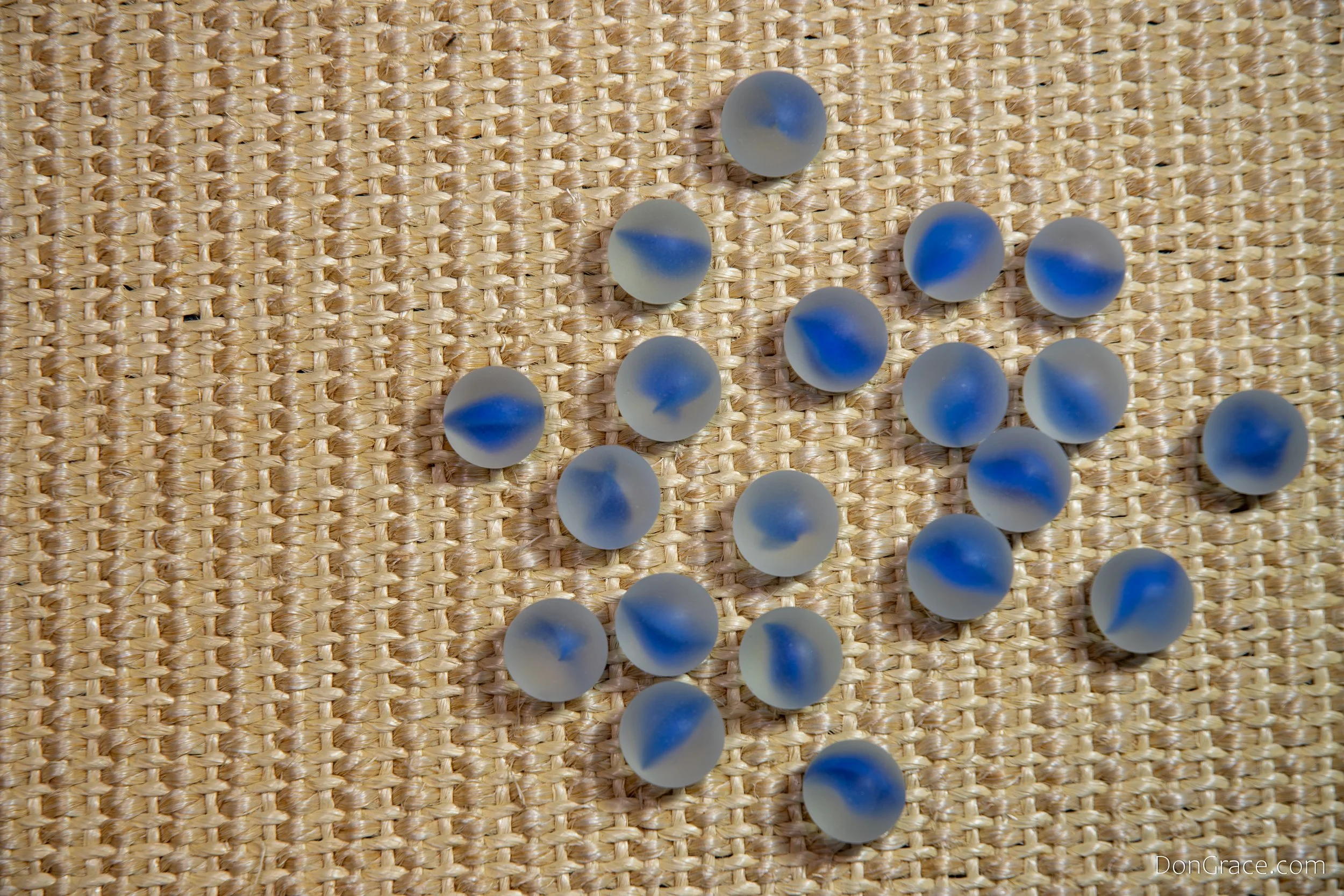 Dark Blue-cat_DSC2924-2-1.jpg