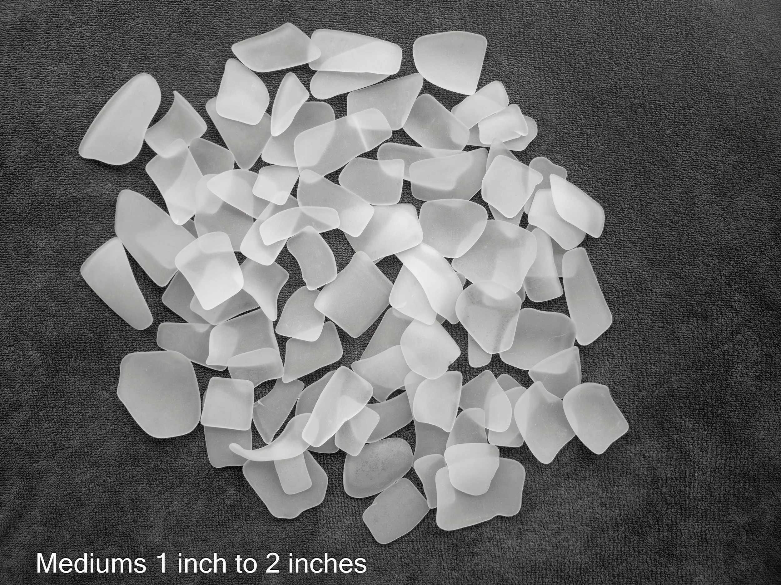 White medium_131215-2-1.jpg