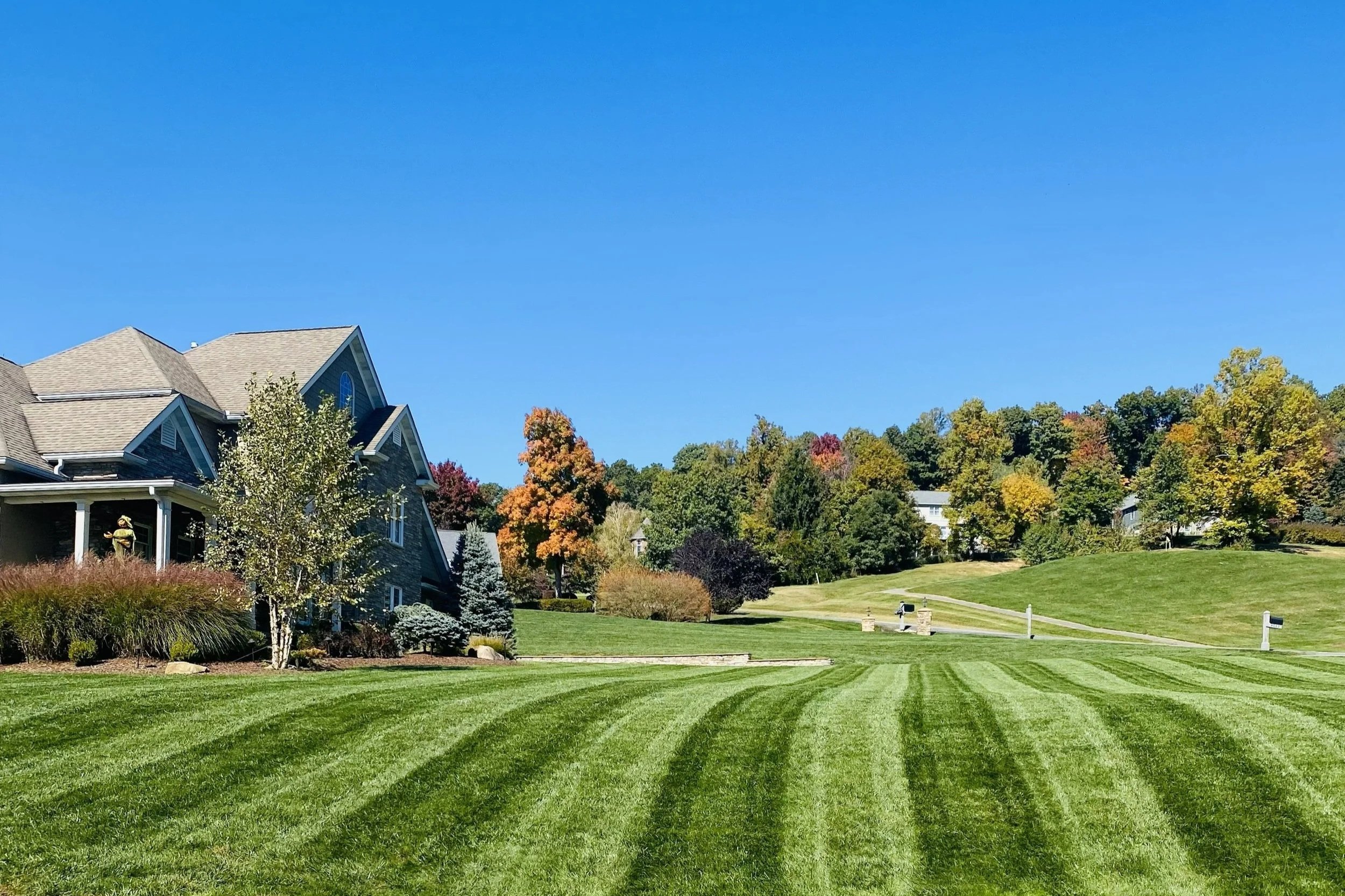 A backyard with a swimming pool, surrounded by a wooden deck, palm trees, and lounge chairs under a sunny sky.