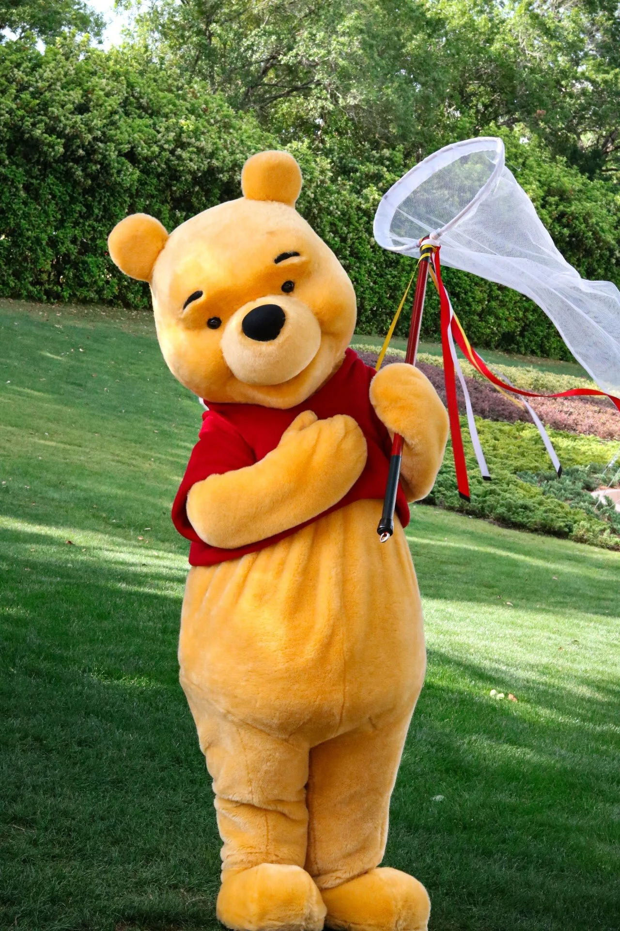 Pooh Bear.JPG