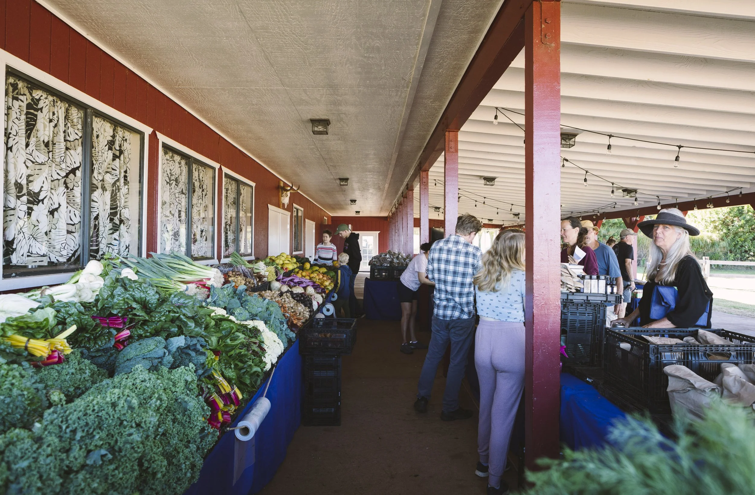 Rockefeller Foundation Invests $3.5 Million To Support American Farmers, Improve Nutrition &amp; Address Chronic Disease