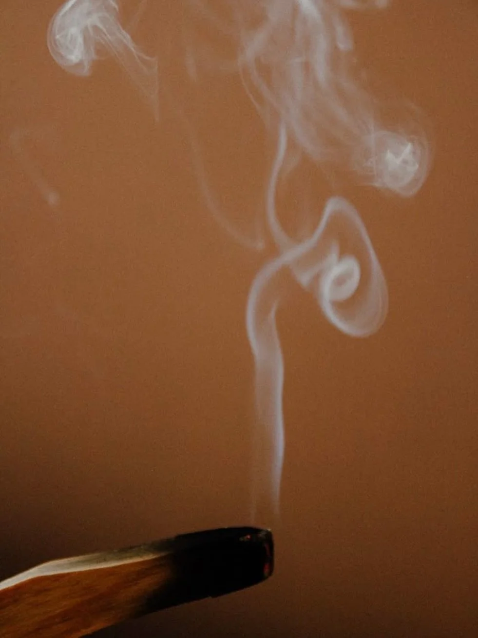 R E S E T

꩜ How do you reset? ꩜

Does your body crave movement? 
Does your mind long for quieting? 

To help silence the noise all around - sometimes all it takes is a few deep breaths to re-center.. but other times I find myself needing physical pr