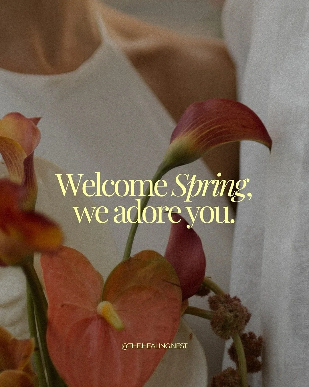 S P R I N G T I M E 

When I think of spring I think of nature and all of its wonders &mdash; birds chirping in the early morning, bees buzzing and humming from flower to flower, the energetic shift that we all feel, winter has ended, and the days ar