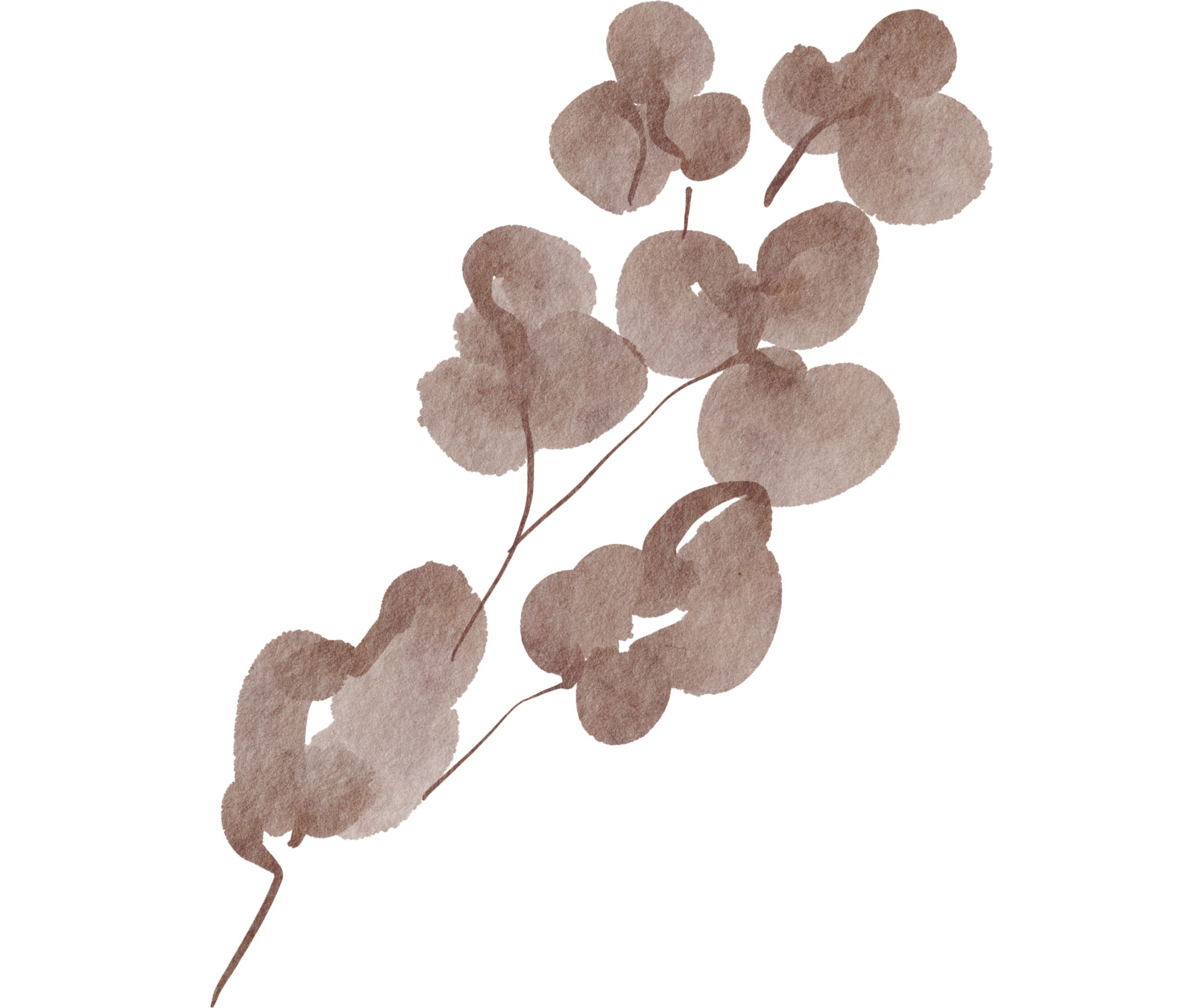 Holistic healing in San Diego.