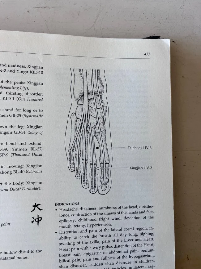 Acupuncture points labeled LIV-3 and LIV-2