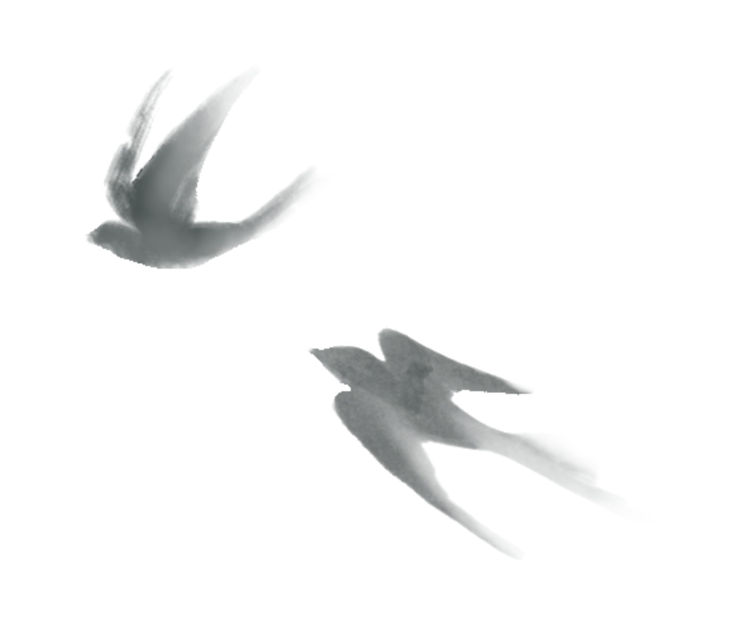 The Healing Nest, San Diego