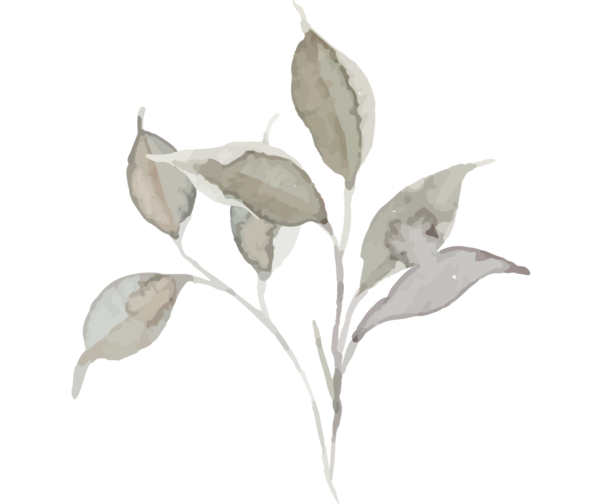 Holistic healing in San Diego.