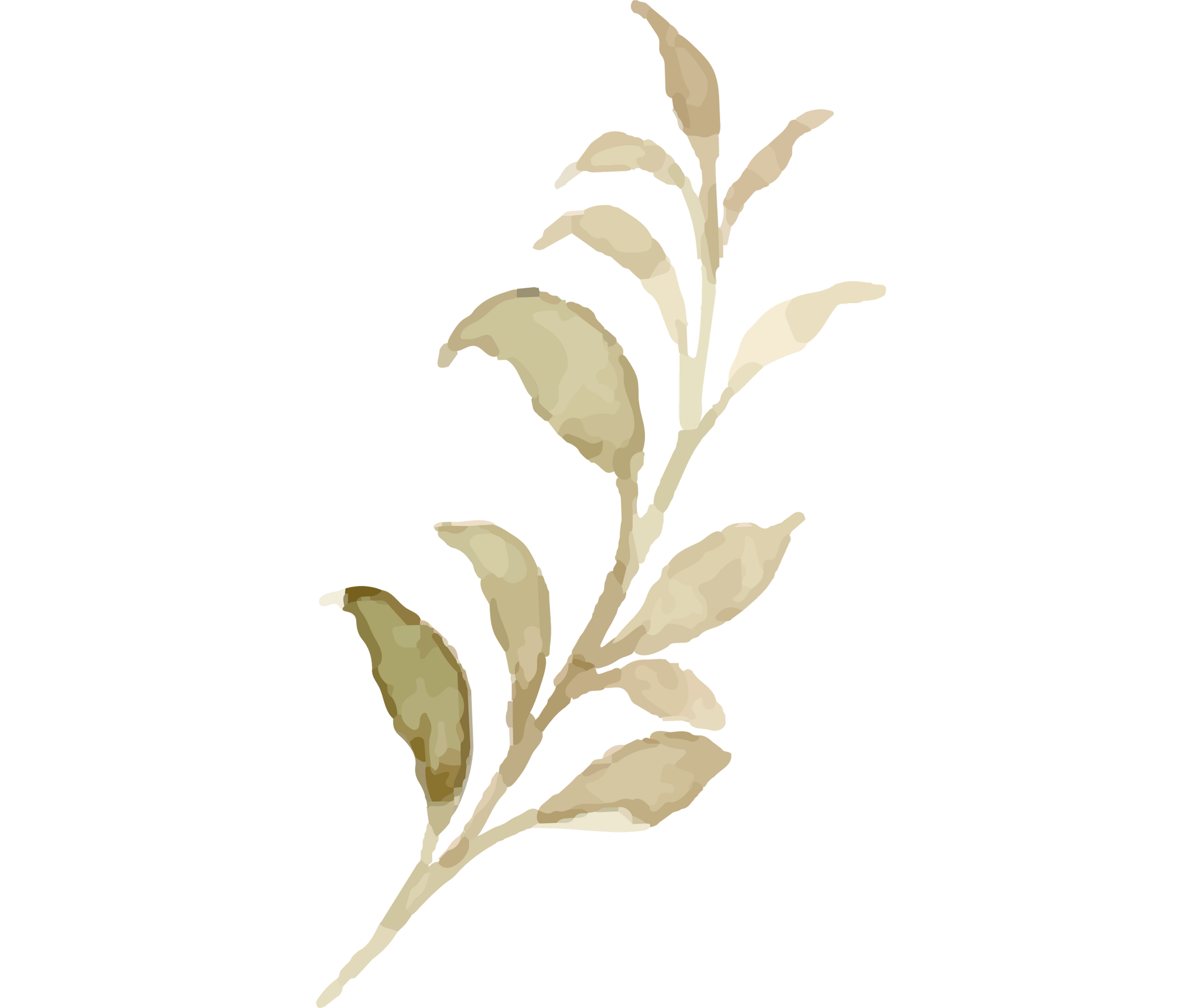 Holistic healing in San Diego.