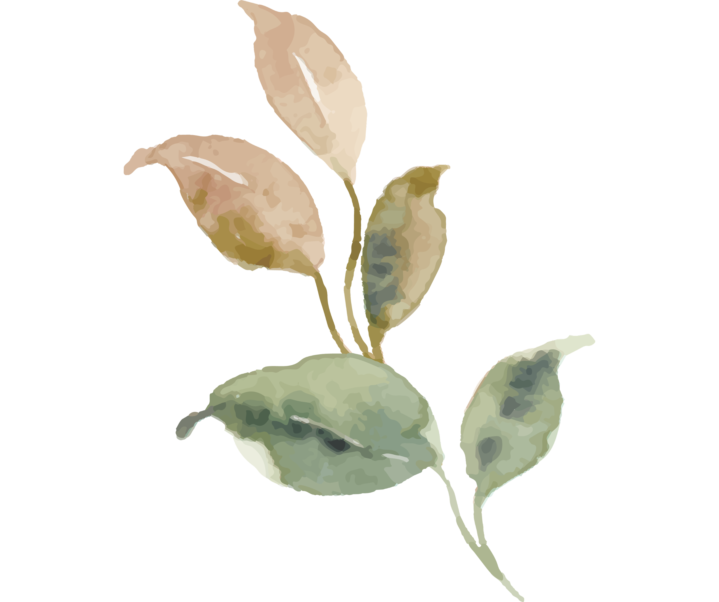 Holistic healing in San Diego.