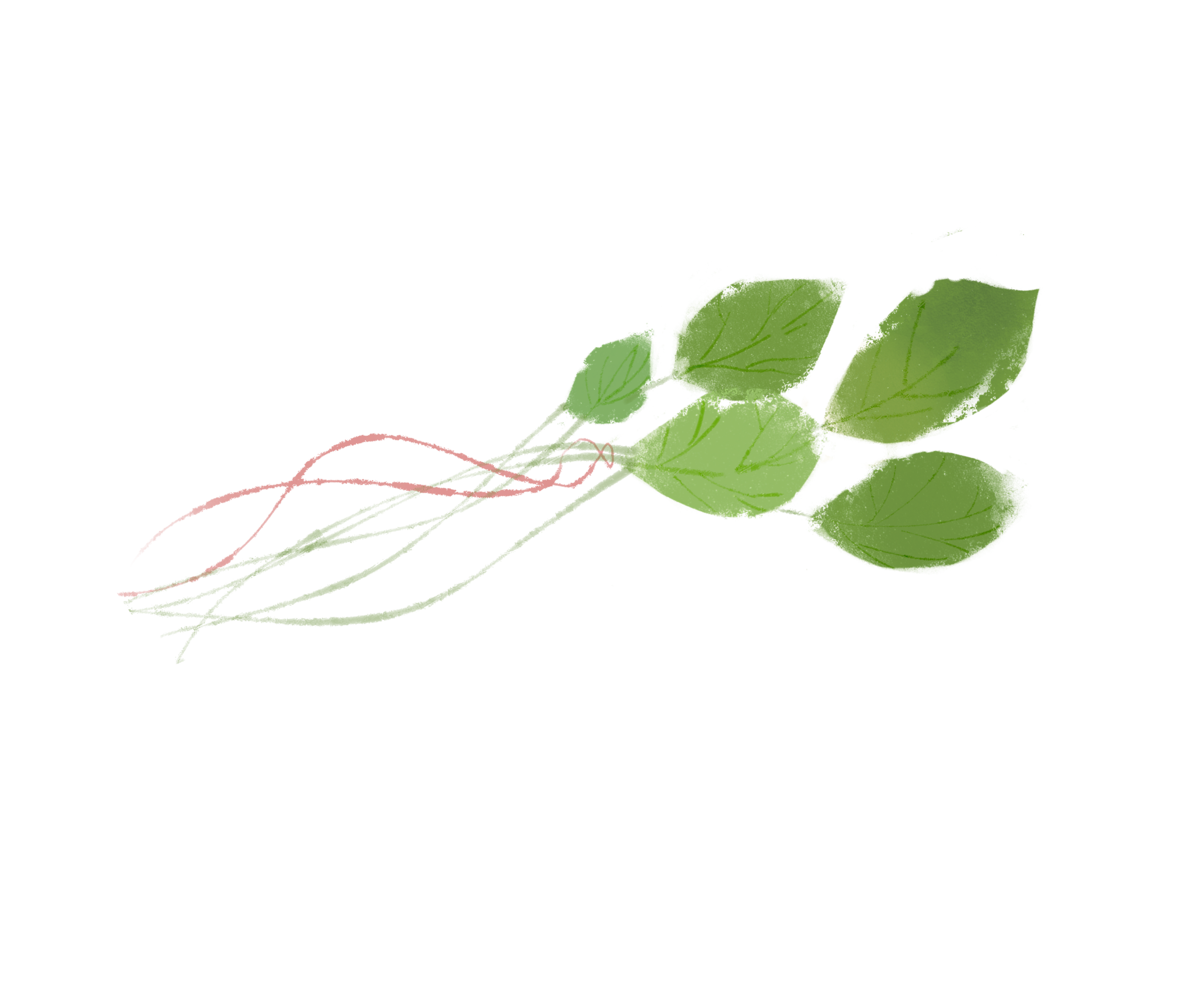 The Healing Nest, San Diego