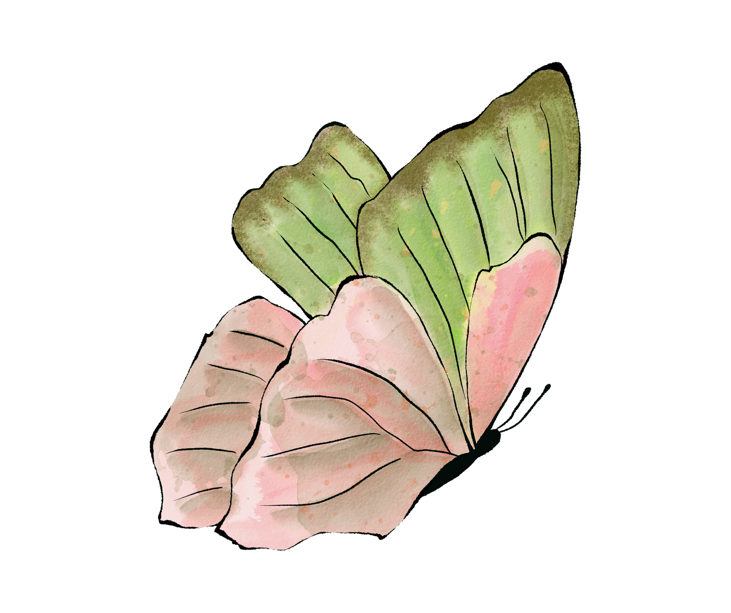 Women's Health in San Diego with acupuncture