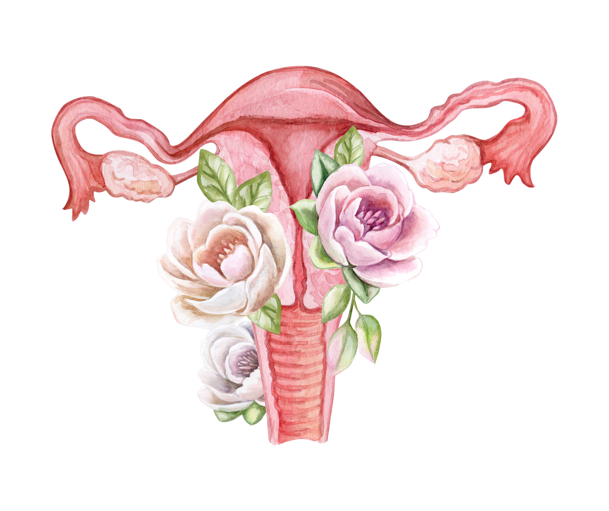 Women's health through acupuncture in San Diego