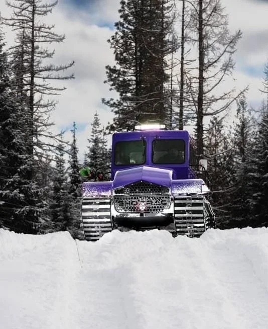 A purple snowcat vehicle on snow in a forested area with tall trees and cloudy sky.