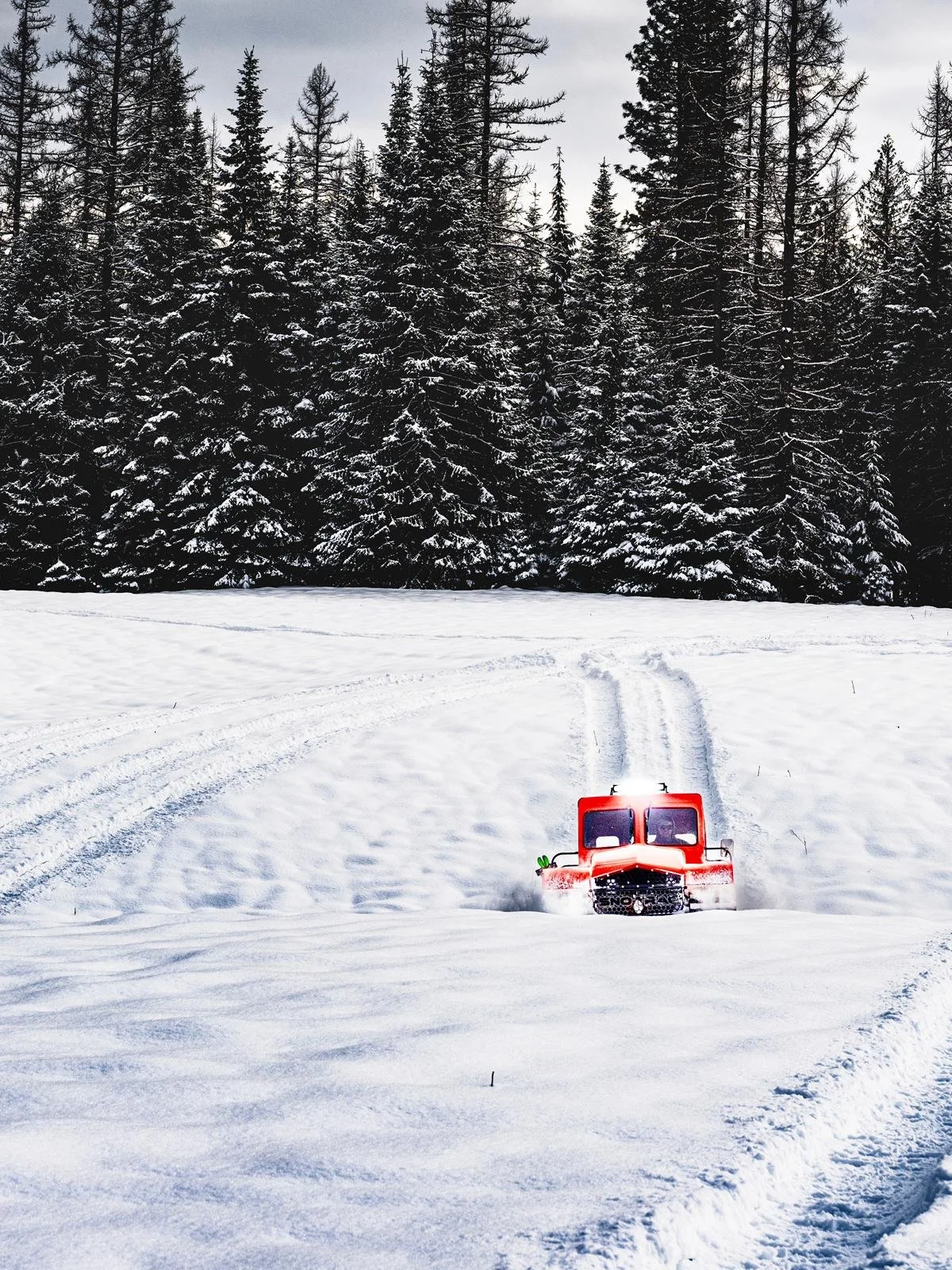A red snowcat vehicle driving through deep snow in a winter forest with tall evergreen trees covered in snow.
