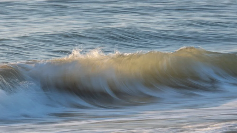 Z63_3392.jpg