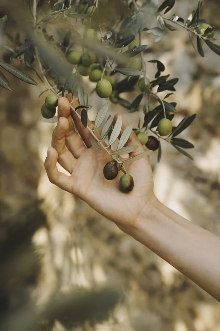 The Greek Skincare Rituals That Inspired Our Formulas