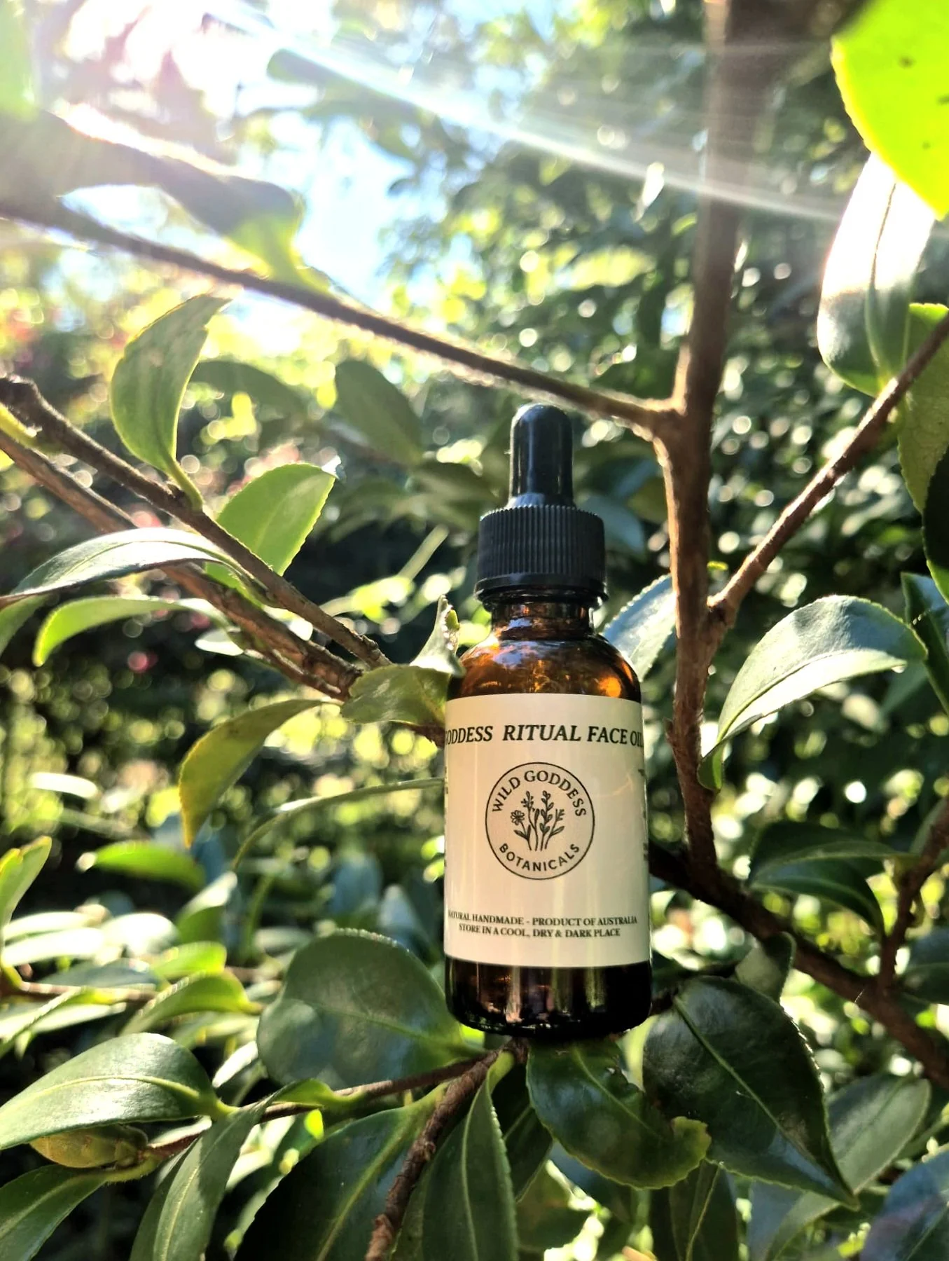 A small amber glass bottle with a black dropper cap hanging from a tree branch among green leaves. The bottle has a label indicating it contains goddess ritual face oil by Wild Goddess Botanicals, with instructions for storage.